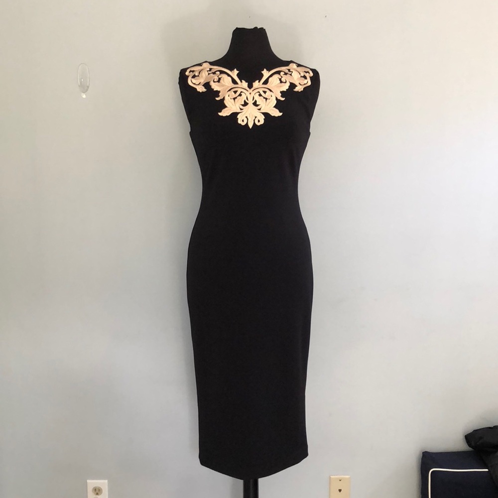 NWT Ted Baker Midi Dress